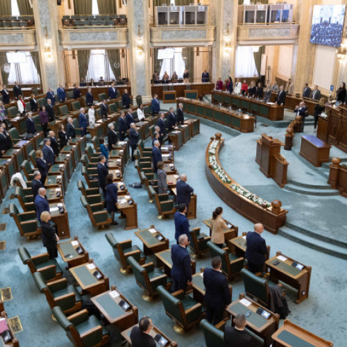 Grupul Partidului Oamenilor Tineri de la Senat a fost desființat