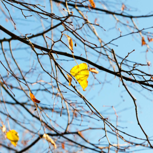 Prognoza meteo pentru următoarele patru săptămâni în România